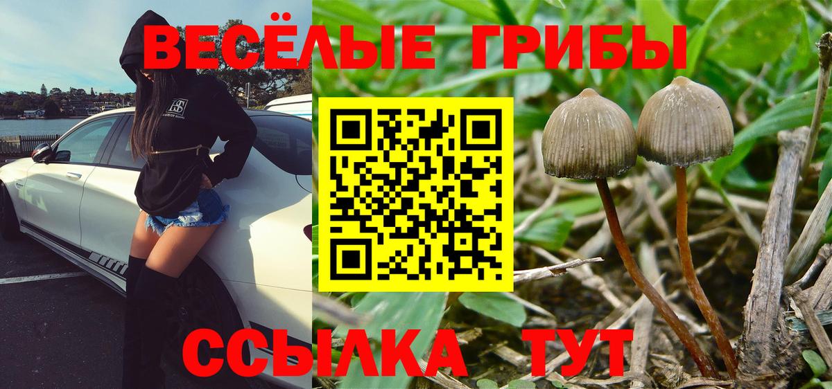 Псилоцибиновые грибы Magic Shrooms  Вход с VPN  Качканар 